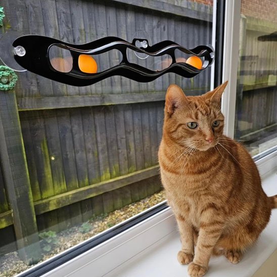Jouet pour chat interactif à ventouses - Chatyfyclub