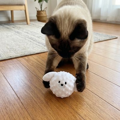 Jouet pour chat interactif - Boule en peluche chat ou chiot - Chatyfyclub