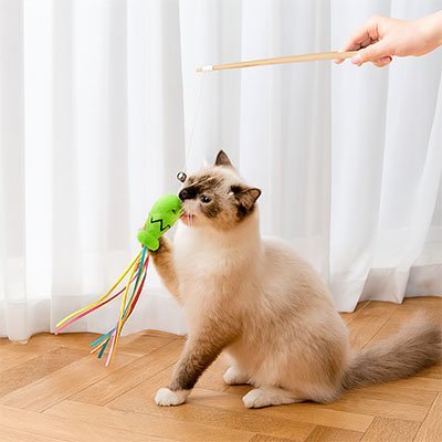 Jouet pour chat interactif - Canne à pêche - Chatyfyclub