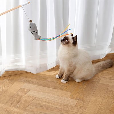Jouet pour chat interactif - Canne à pêche - Chatyfyclub