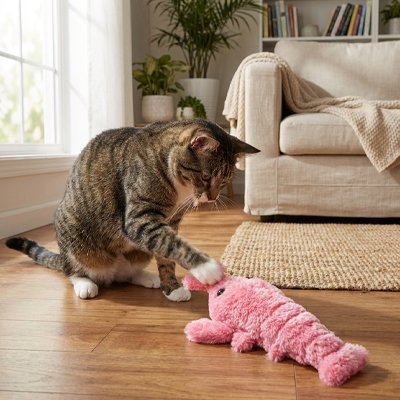 Jouet pour chat interactif - Crevette - Chatyfyclub