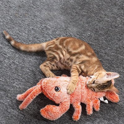 Jouet pour chat interactif - Crevette - Chatyfyclub
