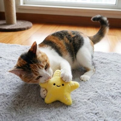 Jouet pour chat Interactif en peluche - Ver, Étoile de mer, Baleine - Chatyfyclub