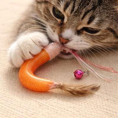 Jouet pour chat interactif - Hameçon - Chatyfyclub