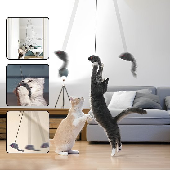 Jouet pour chat interactif - Souris en peluche suspendue - Chatyfyclub