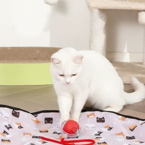 Jouet pour chat interactif | Tapis de jeu circulaire - Chatyfyclub