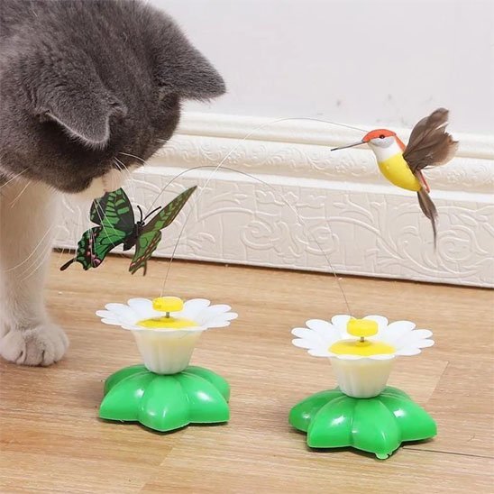 Jouet pour Chat - Papillon ou colibri sur marguerite électrique (rotatif) - Chatyfyclub