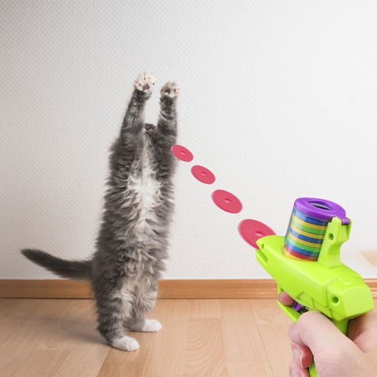 Jouet pour chat - Pistolet à disque automatique - Chatyfyclub