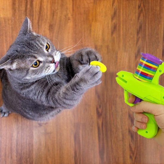 Jouet pour chat - Pistolet à disque automatique - Chatyfyclub