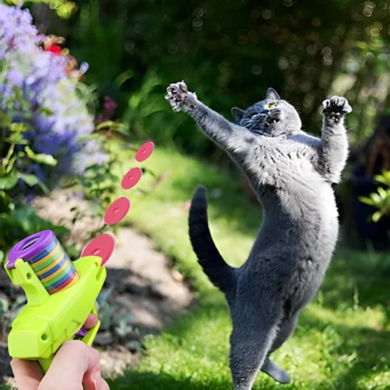 Jouet pour chat - Pistolet à disque automatique - Chatyfyclub