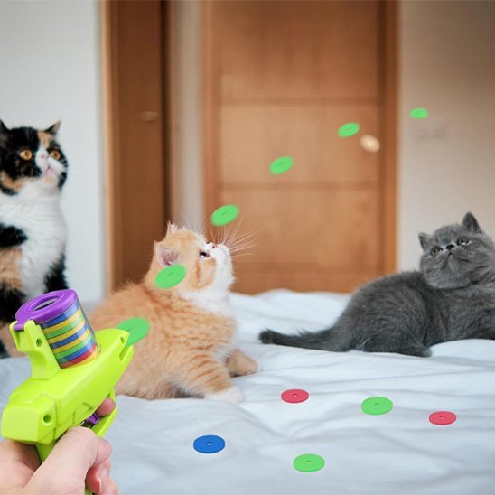 Jouet pour chat - Pistolet à disque automatique - Chatyfyclub