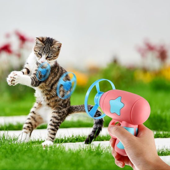 Jouet pour chat - Pistolet à hélice - Chatyfyclub