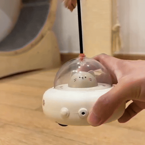 Jouet pour chat - Teaser interactif laser et plumes