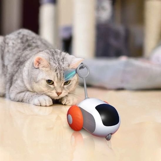 Jouet pour chat - Souris - Chatyfyclub