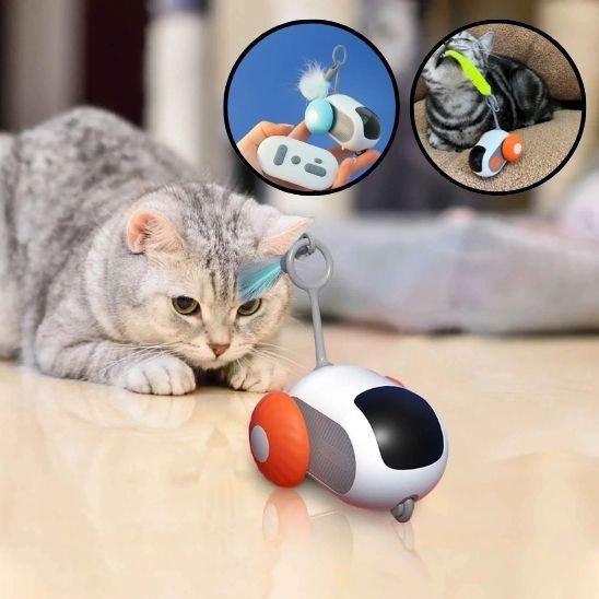 Jouet pour chat - Souris - Chatyfyclub