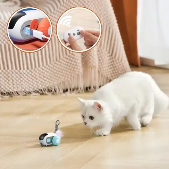 Jouet pour chat - Souris - Chatyfyclub