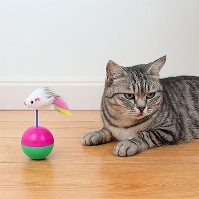 Jouet pour chat - Souris à plumes interactive - Chatyfyclub