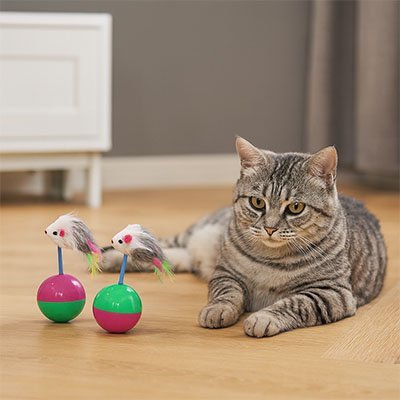 Jouet pour chat - Souris à plumes interactive - Chatyfyclub