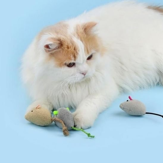 Jouet pour chat - Souris en peluche - Chatyfyclub