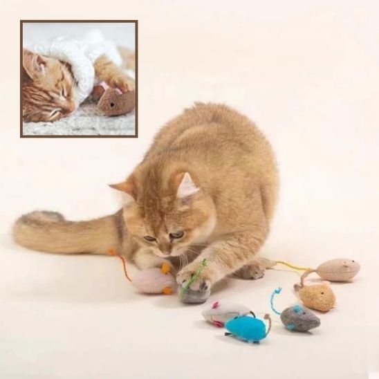 Jouet pour chat - Souris en peluche - Chatyfyclub