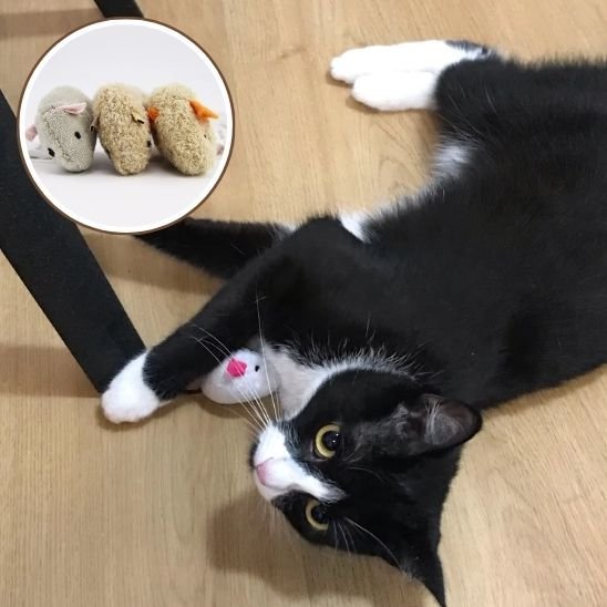 Jouet pour chat - Souris en peluche - Chatyfyclub