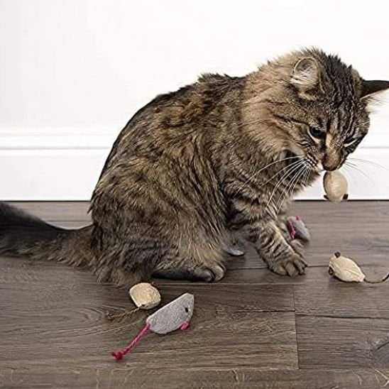 Jouet pour chat - Souris en peluche - Chatyfyclub