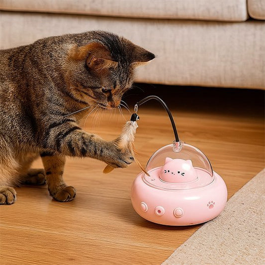 Jouet pour Chat - Teaser interactif laser et plumes - Chatyfyclub