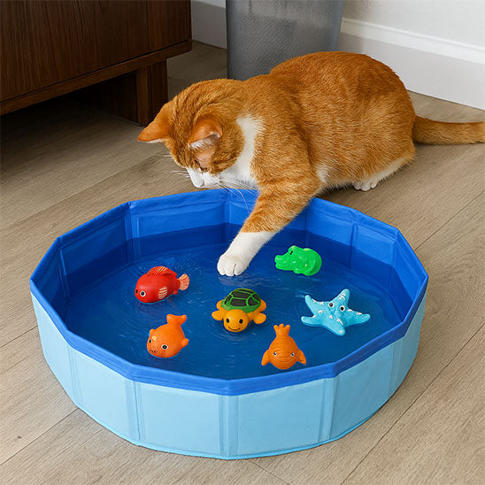 Jeu pour chat - Piscine