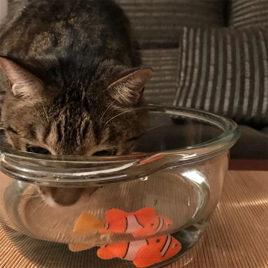 Jouet pour chat - Robot poisson électrique