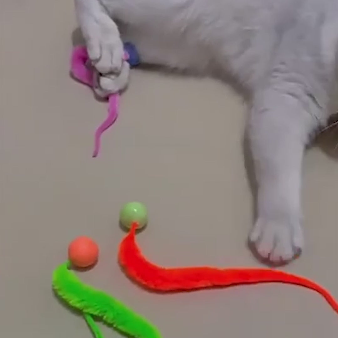 Jouet chat balle-ver e6faa7ff-a58c-457f-b11f-b786f637dab7