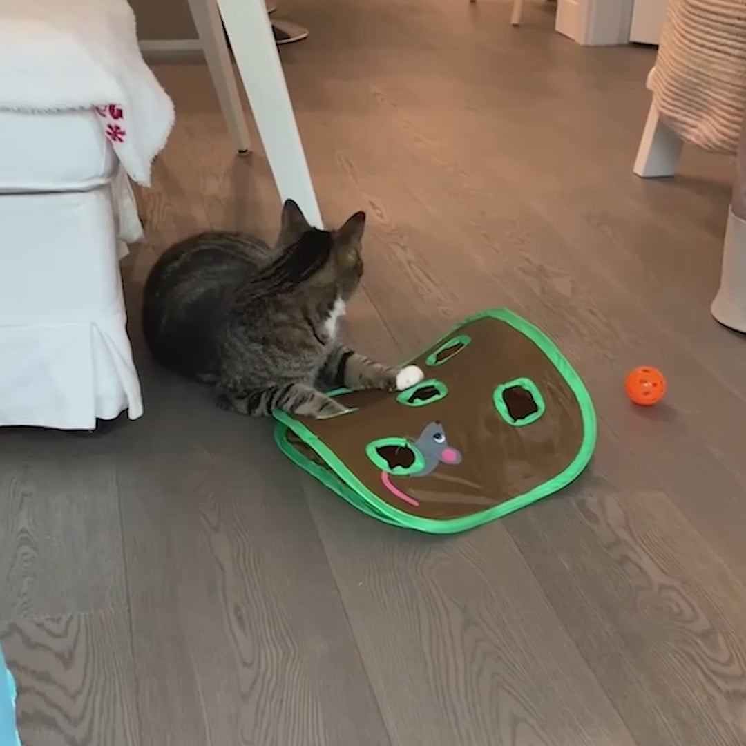 chat tunnel jouet trou