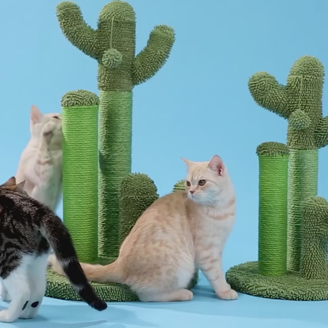 chat griffoir jouet pour chat cactus balle 069e0684-483f-48b2-aee0-b28d9d09d217