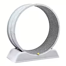 Jeu pour chat - Tapis roulant interactif circulaire