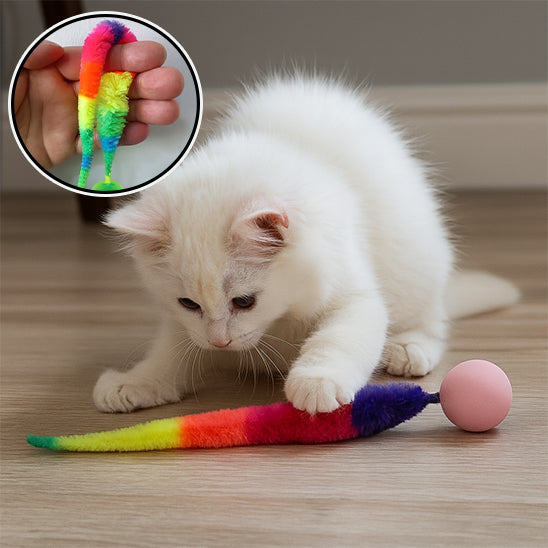 ver boule jouet chat